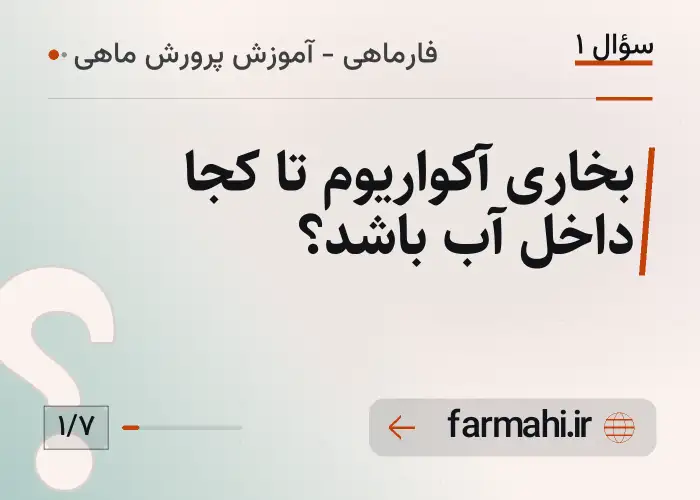 بخاری آکواریوم تا کجا داخل آب باشد؟