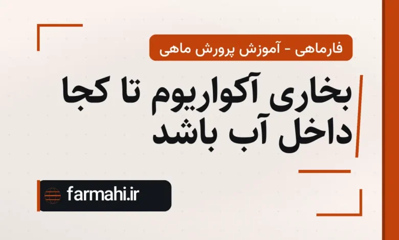 بخاری آکواریوم تا کجا داخل آب باشد