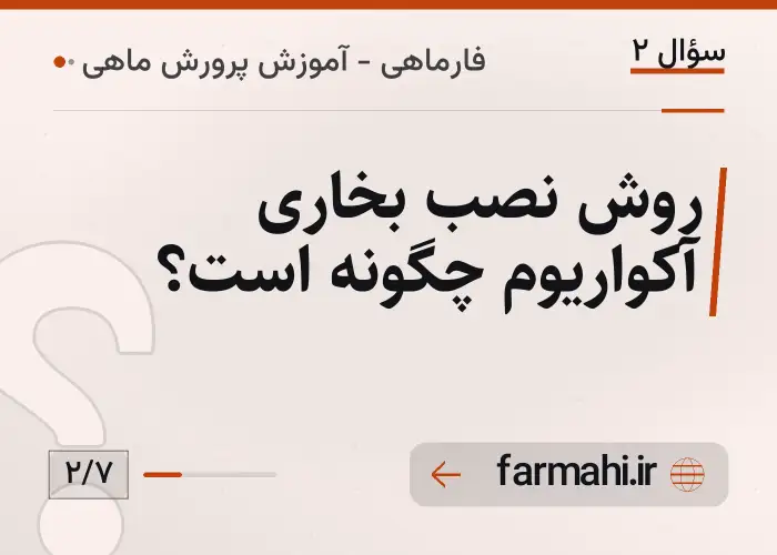 روش نصب بخاری آکواریوم چگونه است؟