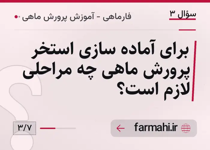 برای آماده سازی استخر پرورش ماهی چه مراحلی لازم است؟