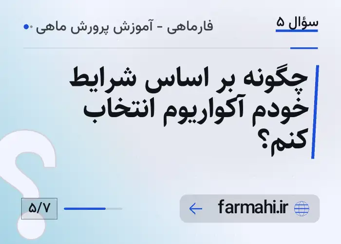 چگونه بر اساس شرایط خودم آکواریوم انتخاب کنم؟