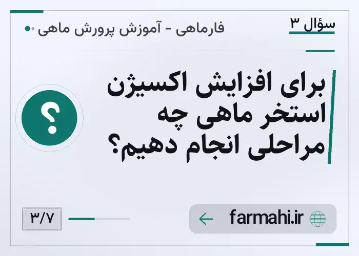 برای افزایش اکسیژن استخر ماهی چه مراحلی انجام دهیم؟