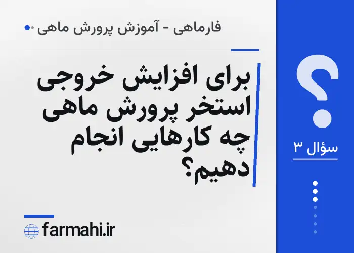 برای افزایش خروجی استخر پرورش ماهی چه کارهایی انجام دهیم؟