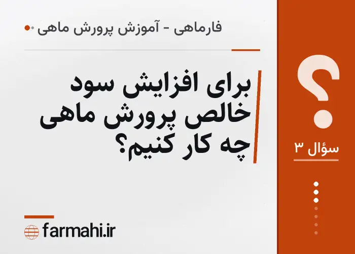برای افزایش سود خالص پرورش ماهی چه کار کنیم؟