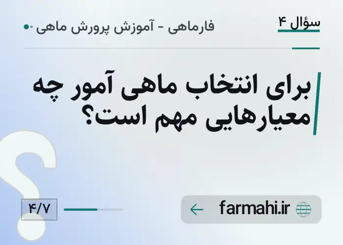 برای انتخاب ماهی آمور چه معیارهایی مهم است؟