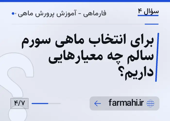 برای انتخاب ماهی سورم سالم چه معیارهایی داریم؟