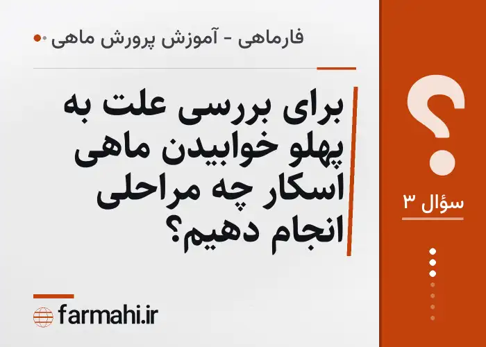 برای بررسی علت به پهلو خوابیدن ماهی اسکار چه مراحلی انجام دهیم؟