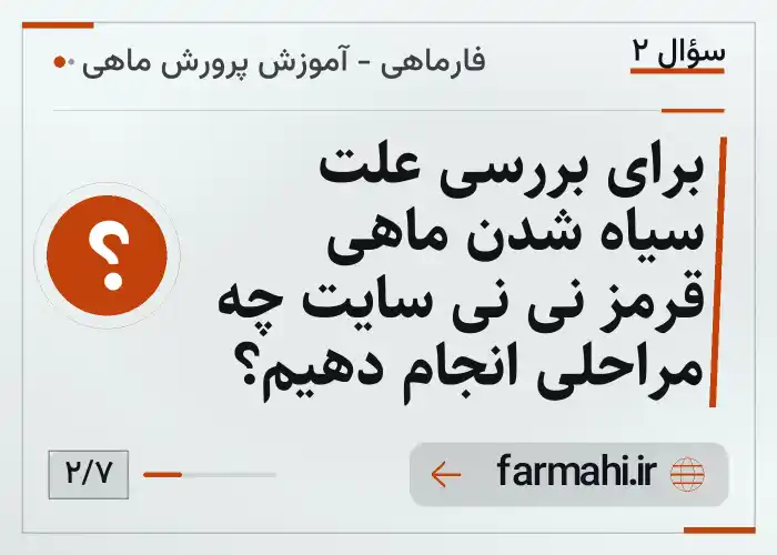 برای بررسی علت سیاه شدن ماهی قرمز نی نی سایت چه مراحلی انجام دهیم؟