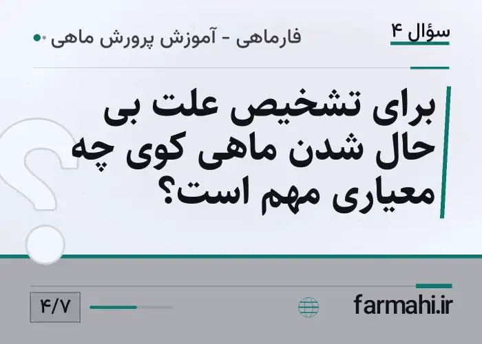 برای تشخیص علت بی حال شدن ماهی کوی چه معیاری مهم است؟
