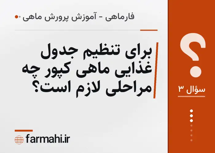 برای تنظیم جدول غذایی ماهی کپور چه مراحلی لازم است؟