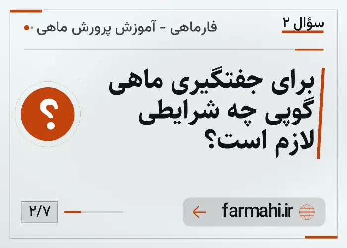 برای جفتگیری ماهی گوپی چه شرایطی لازم است؟