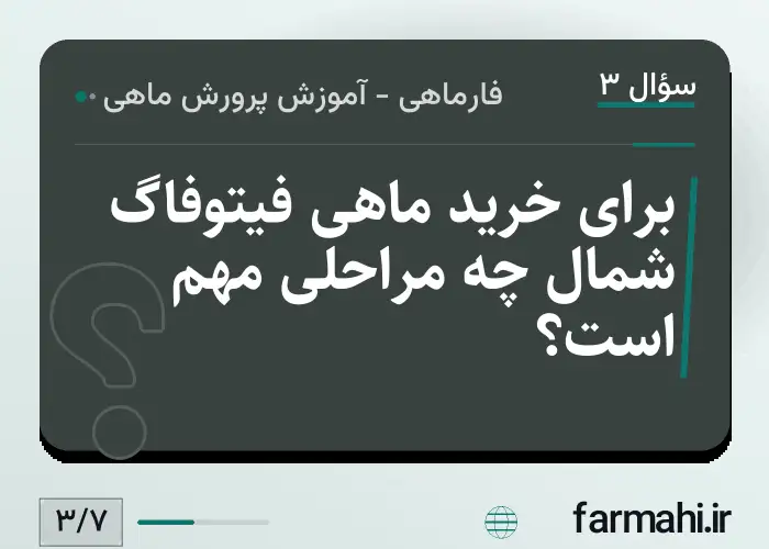 برای خرید ماهی فیتوفاگ شمال چه مراحلی مهم است؟
