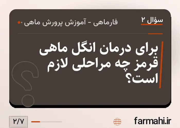 برای درمان انگل ماهی قرمز چه مراحلی لازم است؟