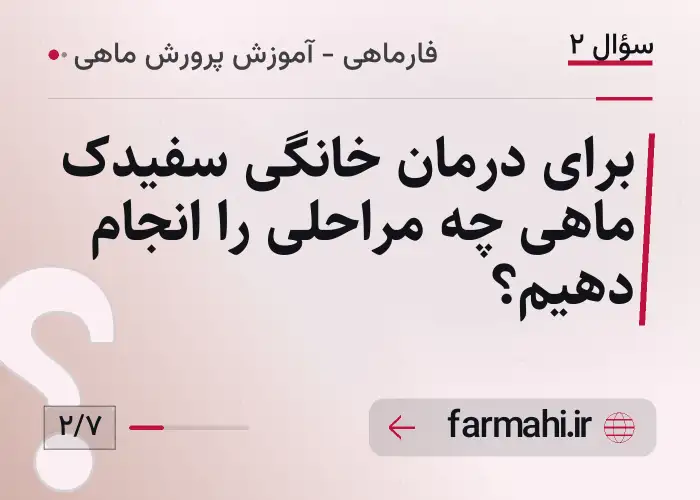برای درمان خانگی سفیدک ماهی چه مراحلی را انجام دهیم؟