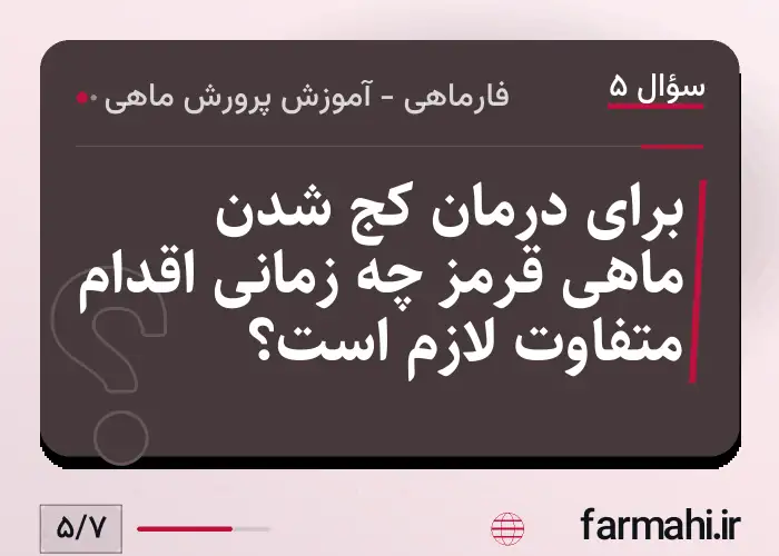 برای درمان کج شدن ماهی قرمز چه زمانی اقدام متفاوت لازم است؟
