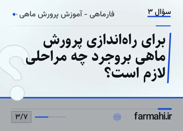 برای راه‌اندازی پرورش ماهی بروجرد چه مراحلی لازم است؟