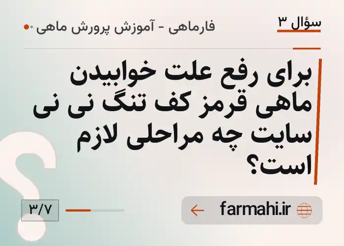 برای رفع علت خوابیدن ماهی قرمز کف تنگ نی نی سایت چه مراحلی لازم است؟