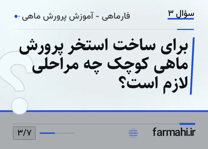برای ساخت استخر پرورش ماهی کوچک چه مراحلی لازم است؟