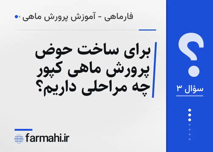 برای ساخت حوض پرورش ماهی کپور چه مراحلی داریم؟