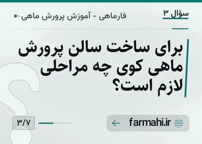 برای ساخت سالن پرورش ماهی کوی چه مراحلی لازم است؟