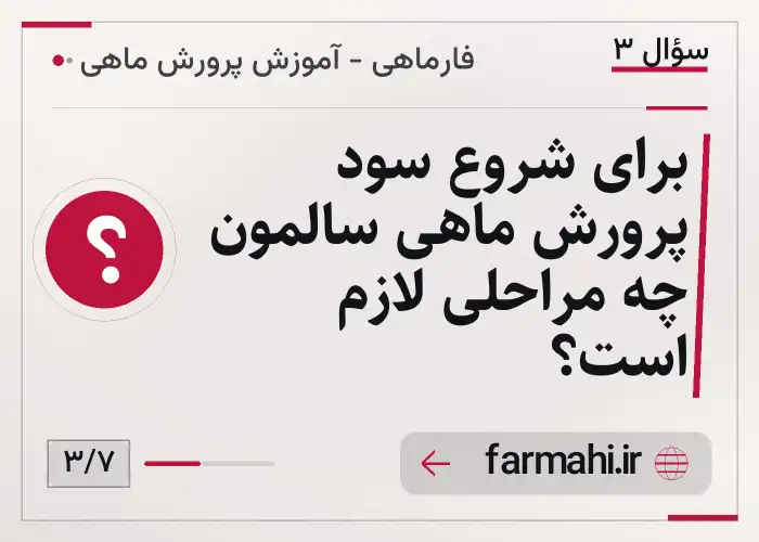 برای شروع سود پرورش ماهی سالمون چه مراحلی لازم است؟