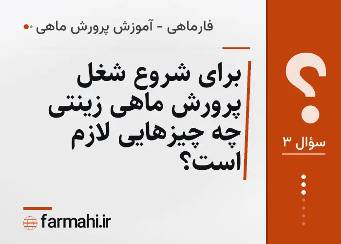 برای شروع شغل پرورش ماهی زینتی چه چیزهایی لازم است؟