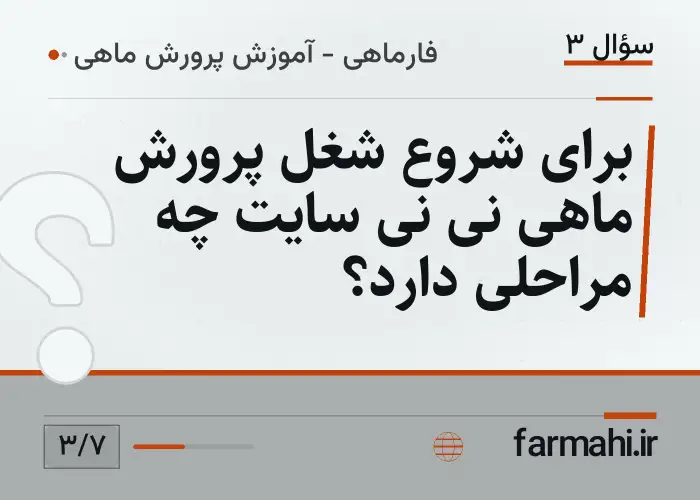 برای شروع شغل پرورش ماهی نی نی سایت چه مراحلی دارد؟