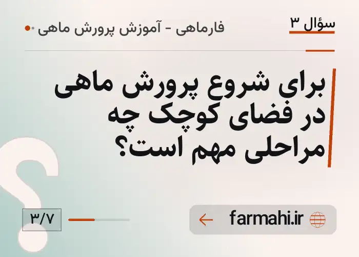 برای شروع پرورش ماهی در فضای کوچک چه مراحلی مهم است؟