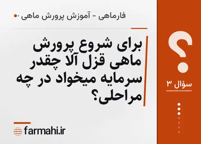 برای شروع پرورش ماهی قزل آلا چقدر سرمایه میخواد در چه مراحلی؟