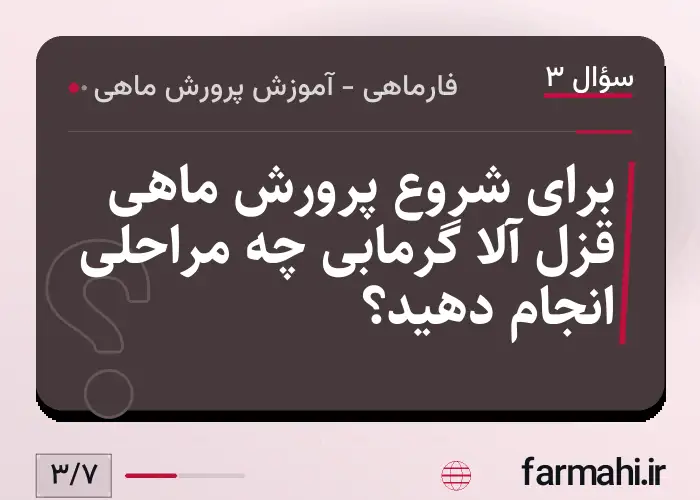 برای شروع پرورش ماهی قزل آلا گرمابی چه مراحلی انجام دهید؟