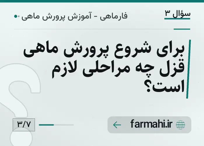 برای شروع پرورش ماهی قزل چه مراحلی لازم است؟