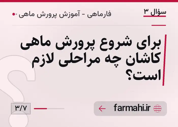 برای شروع پرورش ماهی کاشان چه مراحلی لازم است؟