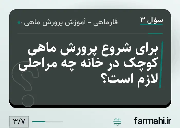 برای شروع پرورش ماهی کوچک در خانه چه مراحلی لازم است؟
