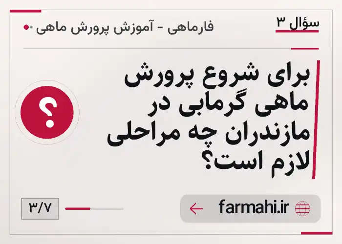 برای شروع پرورش ماهی گرمابی در مازندران چه مراحلی لازم است؟