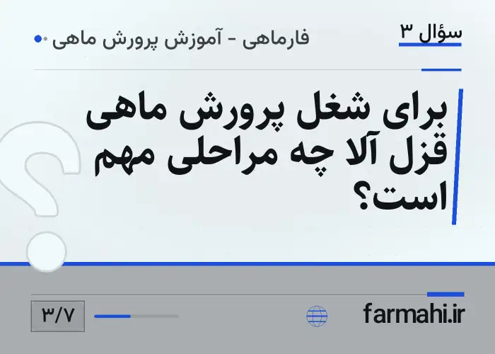 برای شغل پرورش ماهی قزل آلا چه مراحلی مهم است؟