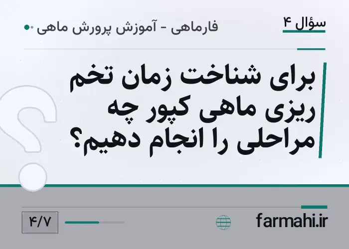برای شناخت زمان تخم ریزی ماهی کپور چه مراحلی را انجام دهیم؟