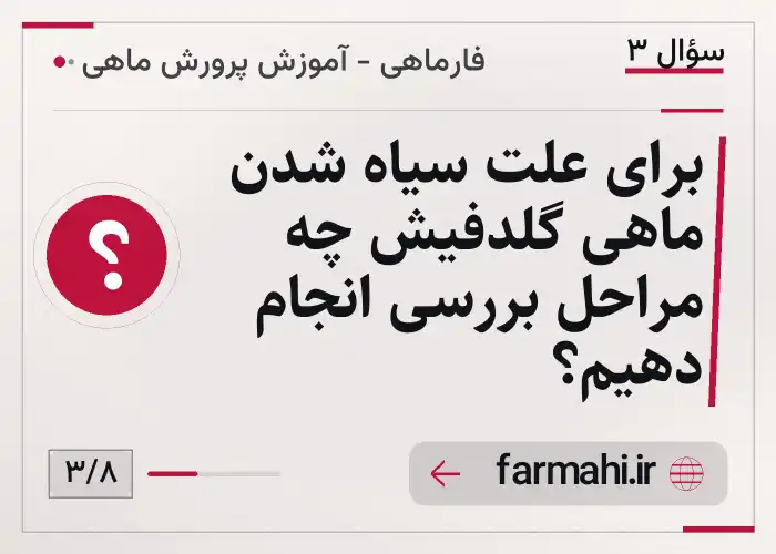 برای علت سیاه شدن ماهی گلدفیش چه مراحل بررسی انجام دهیم؟
