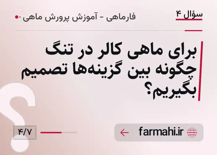 برای ماهی کالر در تنگ چگونه بین گزینه‌ها تصمیم بگیریم؟