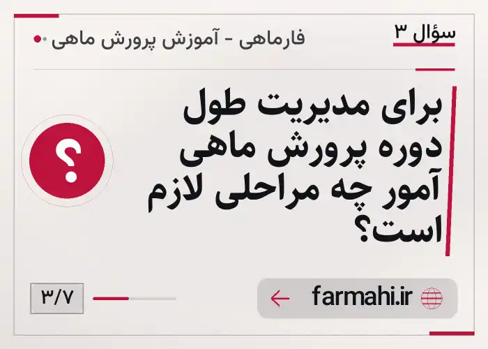 برای مدیریت طول دوره پرورش ماهی آمور چه مراحلی لازم است؟