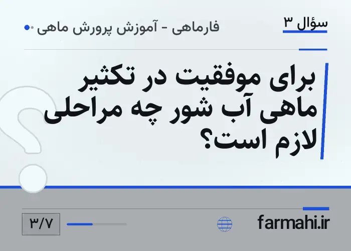 برای موفقیت در تکثیر ماهی آب شور چه مراحلی لازم است؟