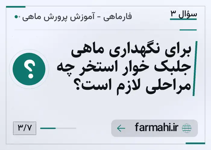 برای نگهداری ماهی جلبک خوار استخر چه مراحلی لازم است؟