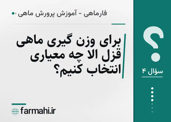 برای وزن گیری ماهی قزل الا چه معیاری انتخاب کنیم؟