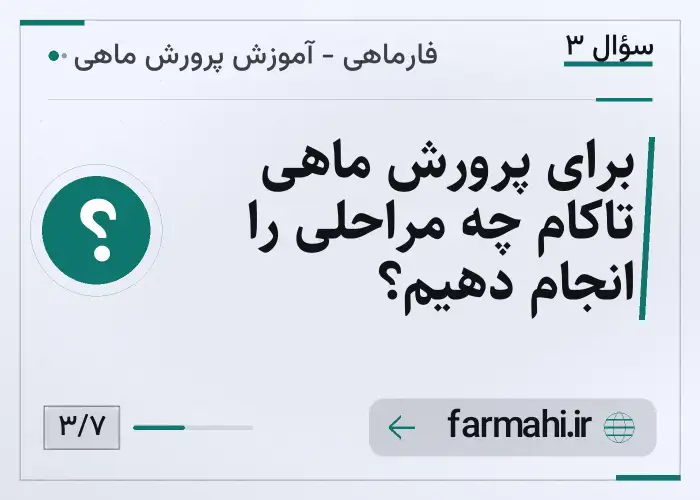 برای پرورش ماهی تاکام چه مراحلی را انجام دهیم؟