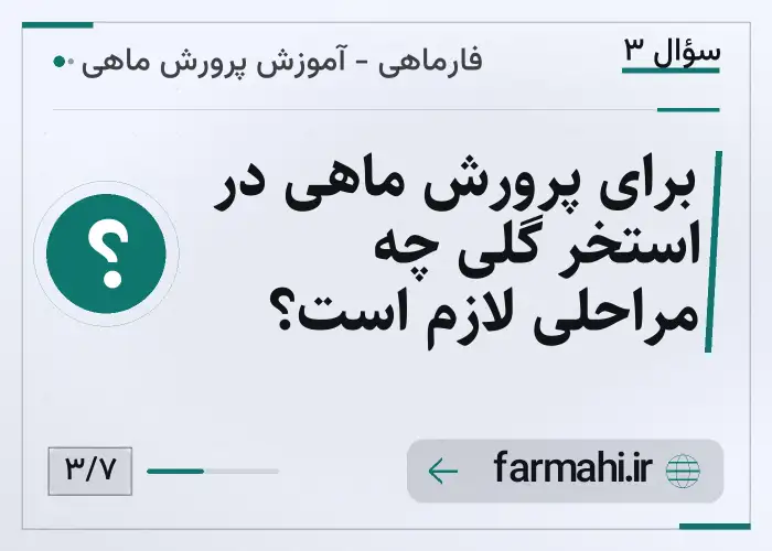 برای پرورش ماهی در استخر گلی چه مراحلی لازم است؟
