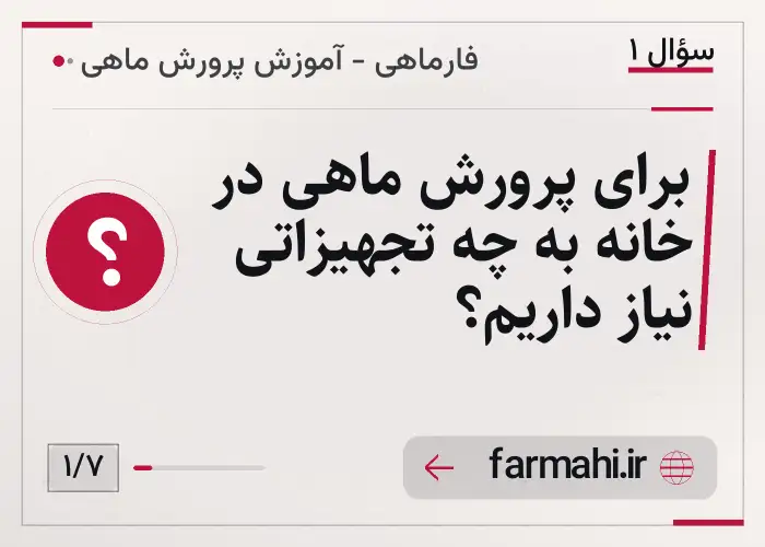 برای پرورش ماهی در خانه به چه تجهیزاتی نیاز داریم؟