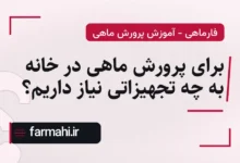 برای پرورش ماهی در خانه به چه تجهیزاتی نیاز داریم؟