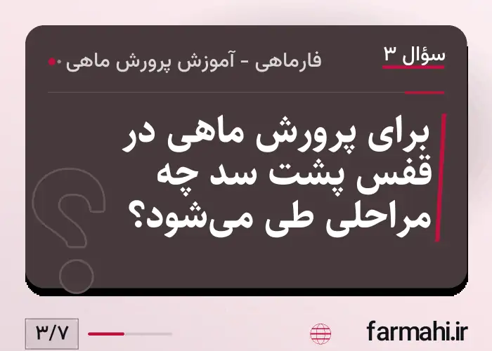 برای پرورش ماهی در قفس پشت سد چه مراحلی طی می‌شود؟