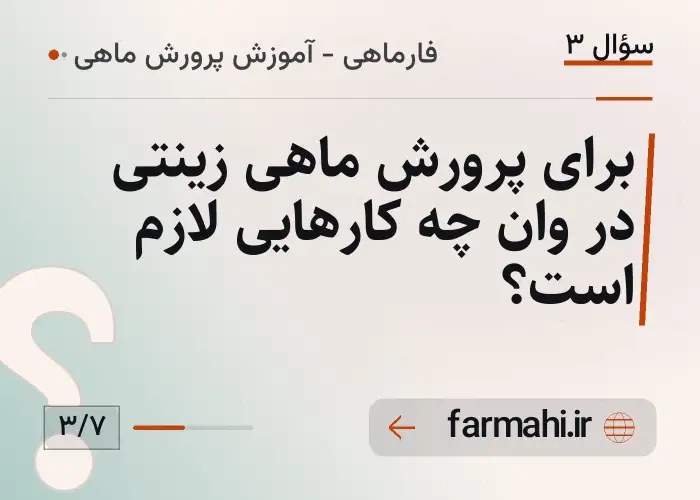 برای پرورش ماهی زینتی در وان چه کارهایی لازم است؟