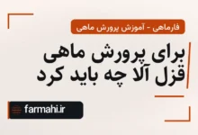 برای پرورش ماهی قزل آلا چه باید کرد