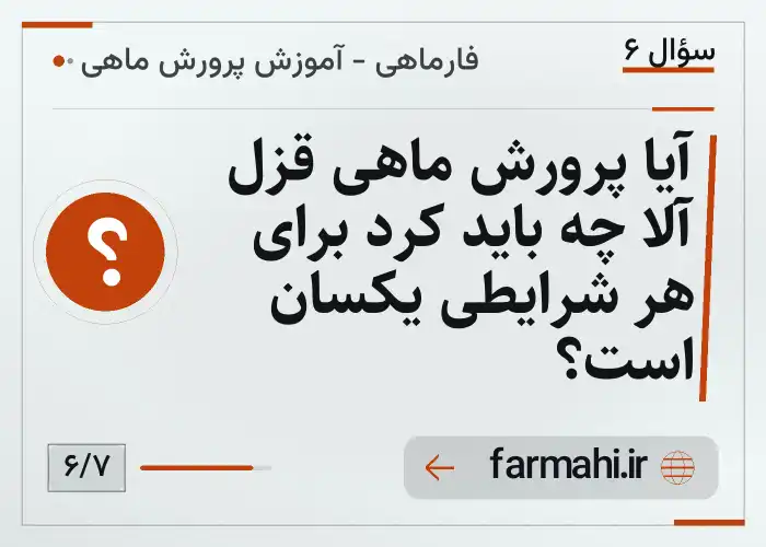 آیا پرورش ماهی قزل آلا چه باید کرد برای هر شرایطی یکسان است؟